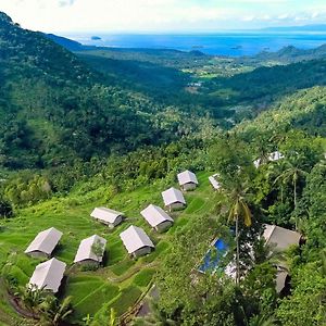 Kaura Bali